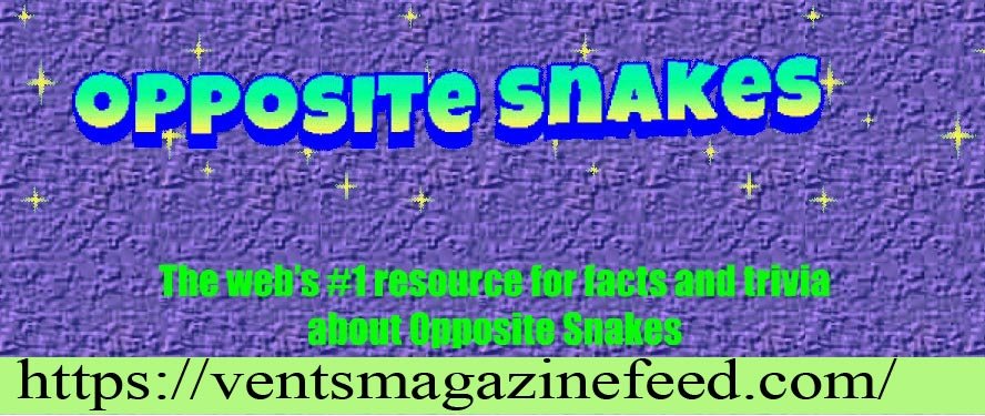 Opposite Snakes Dot Com