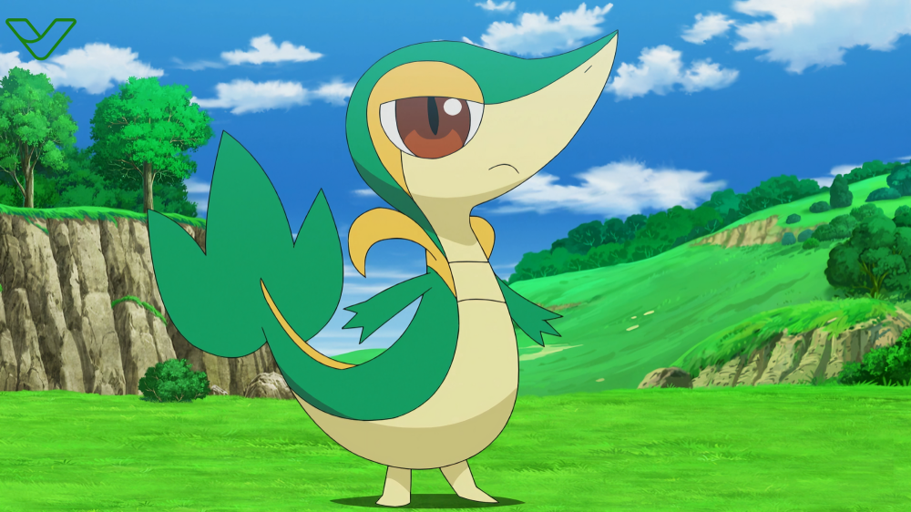 Shiny Snivy Anime