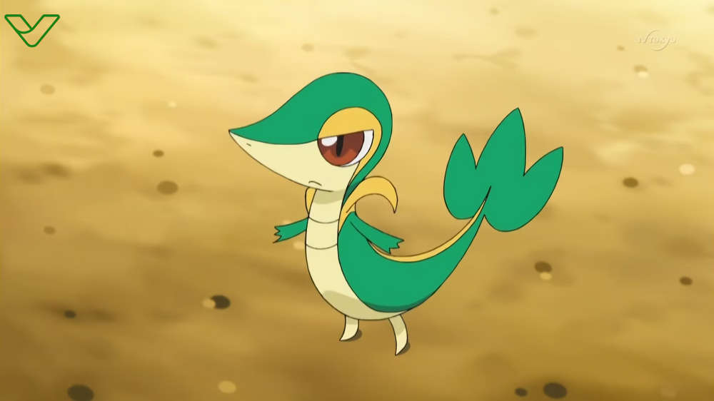 Shiny Snivy Anime