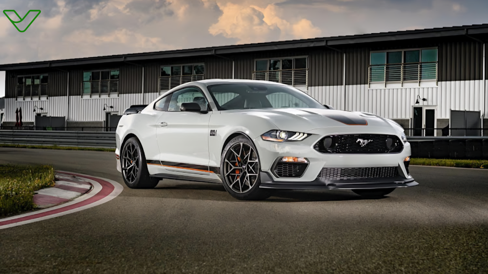 Ford Mustang Stablemate