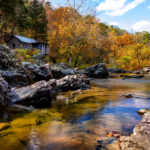 2700 Acres of Mark Twain National Forest