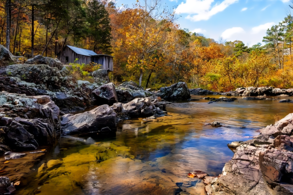 2700 Acres of Mark Twain National Forest