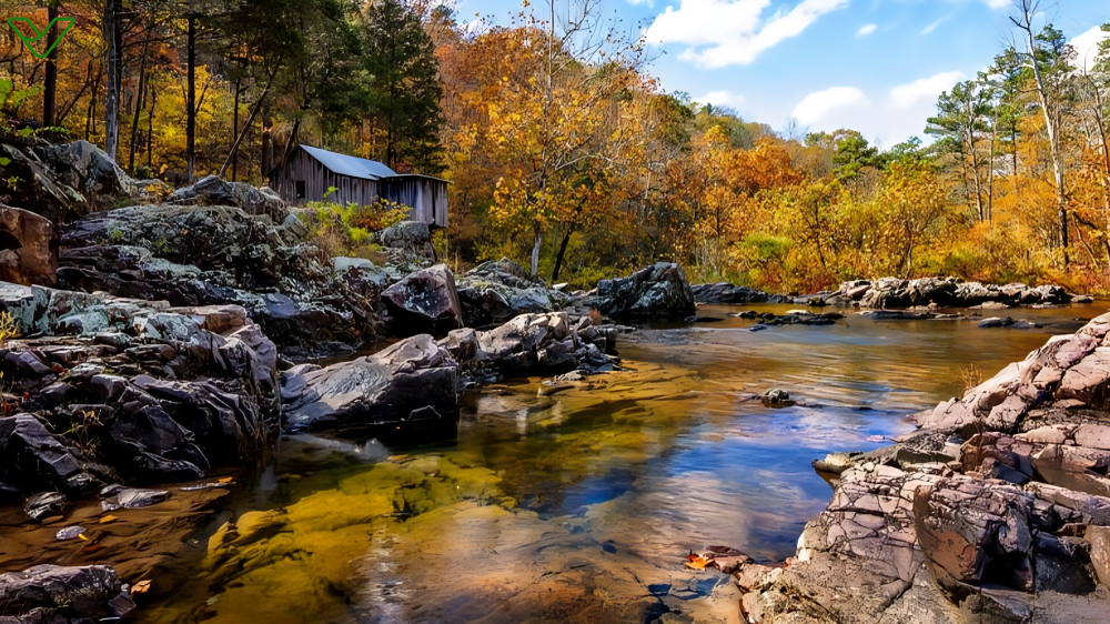 2700 Acres of Mark Twain National Forest